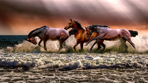 Horses Running Free 4K Wallpaper | 3840 x 2160 px | 4K