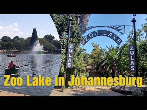 Zoo Lake in Johannesburg - YouTube