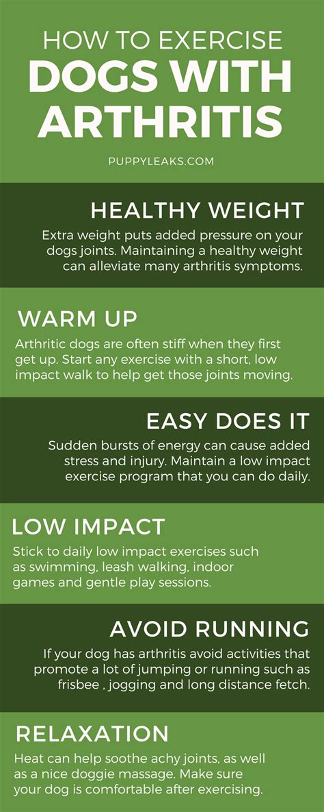 How to Exercise a Dog With Arthritis - Puppy Leaks