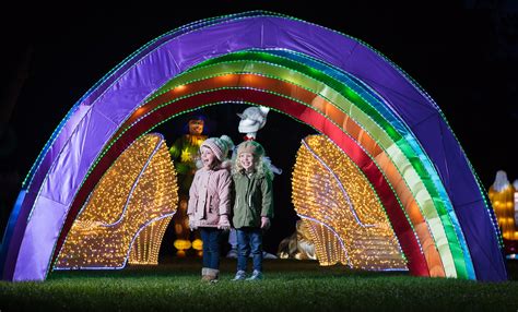 Wild Lights - Dublin Zoo