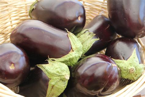 15 Nutrition Facts of Eggplant - Food and Nutrition Guide