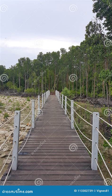 Tanjung Piai National Park stock image. Image of environment - 113302739