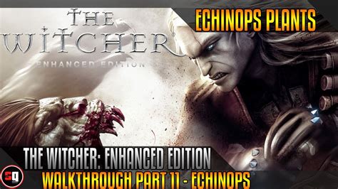 The Witcher: Enhanced Edition Walkthrough Part 11 - Echinops - YouTube