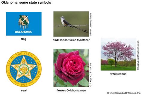 Oklahoma Symbols Images - img-lard