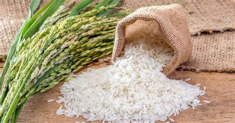 Rice imports increase in Nepal - Maritime Gateway - South Asia’s ...