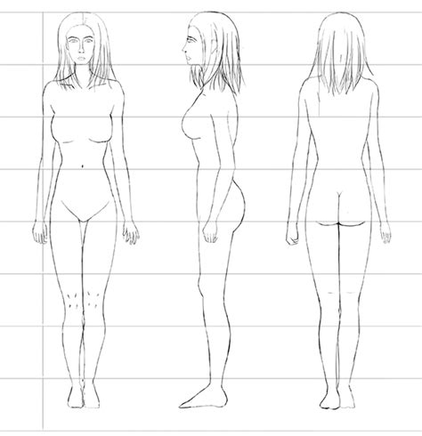 The Female Human Body Proportions – How To Get Them Right Using the heads count method