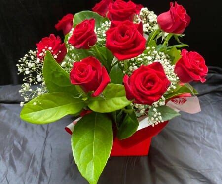 Romantic Red Roses