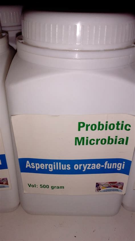 Aspergillus oryzae in Food Indusrty - AGROTEKNO LAB