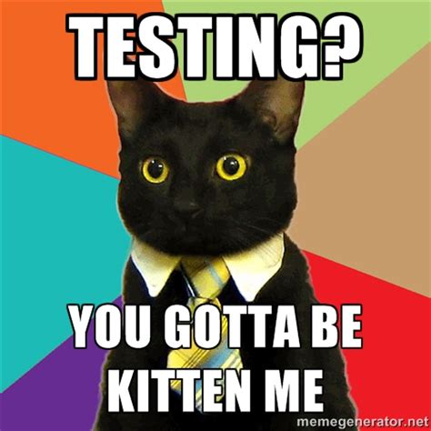 testingCatMeme – Assert.This