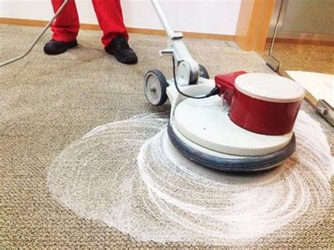 Carpet shampooing: Benefits and Limitations | Ocean Cleans Tips