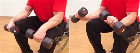 Reverse Dumbbell Wrist Curl • Bodybuilding Wizard