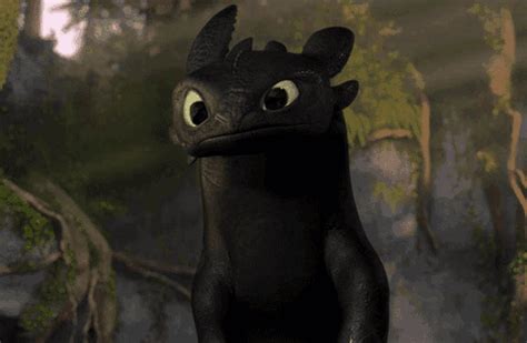 Toothless Smiling Dragon GIFs | Tenor