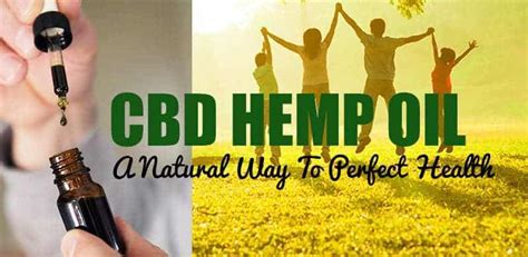 CBD Hemp Oil Benefits - How it's changing lives!