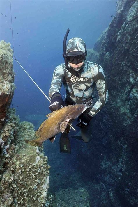 hunting | Spearfishing, Diving, Underwater