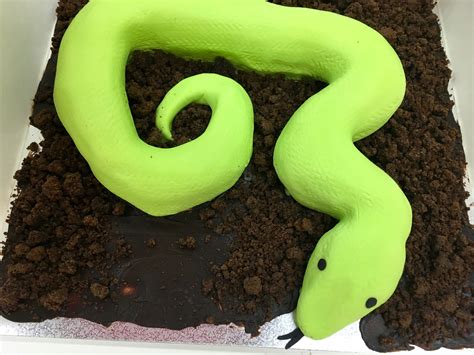 Snake cake Snake Cakes, Novelty Cakes