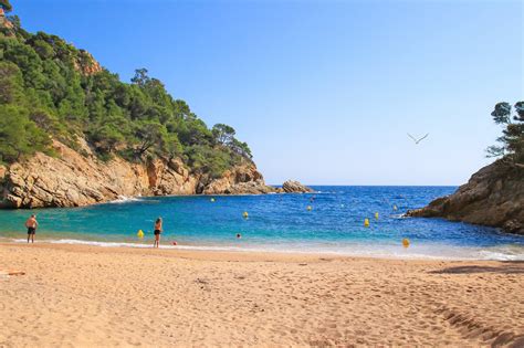 10 Best Beaches in Costa Brava - Which Costa Brava Beach is Right for You? - Go Guides