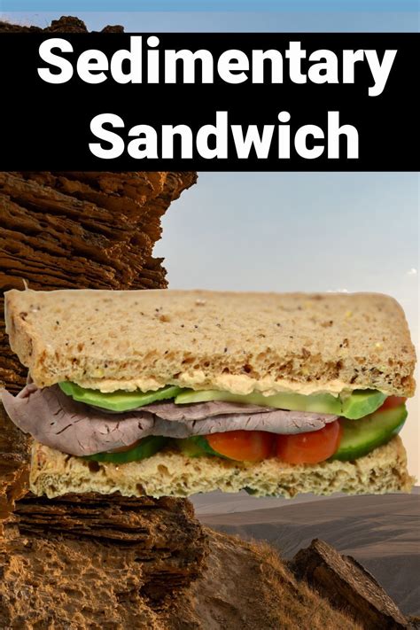 How do Sedimentary Rocks Form? - Sedimentary Sandwich in 2021 | Sandwiches, Sedimentary ...