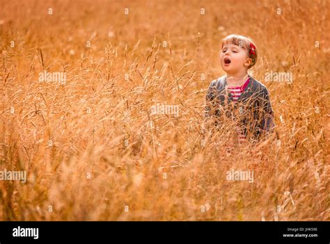 Cute little girl in the high grass in summer Stock Photo - Alamy