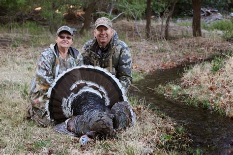 Goulds Turkey Hunt: Now booking for the 2016 and 2017 Gould's Turkey ...