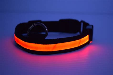 LED Dog Collar - LED Glow in The Dark Dog Collars