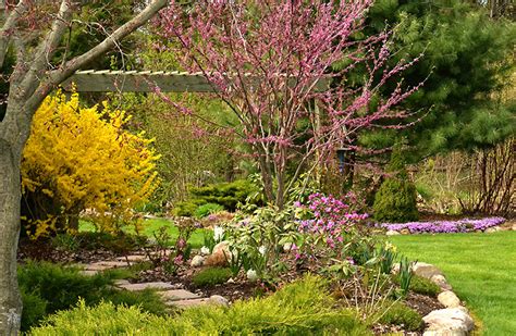 How to create a beautiful spring garden in Western New York - Buffalo ...