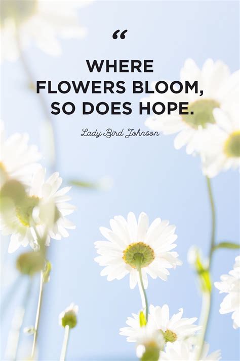 The Best Beautiful Quotes About Flowers And Life And Description in 2020 | Flower quotes ...