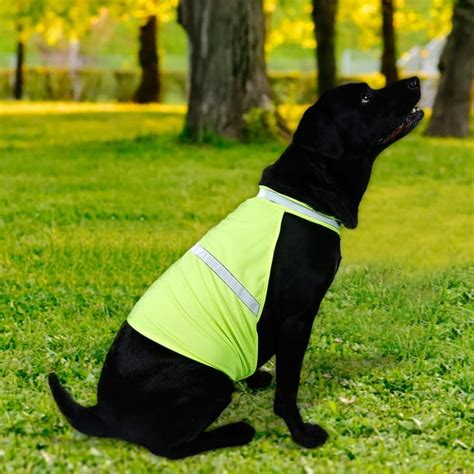 LYUMO Reflective Dog Vest, Pet Dog Fluorescent Reflective Vest Adjustable Safety Walking Clothes ...