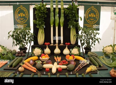 New Forest and Hampshire County Show 2019 - Vegetable Show competition run by the National ...