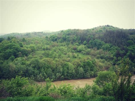 The Basca River Part 2 Romania | River, Nature, Outdoor