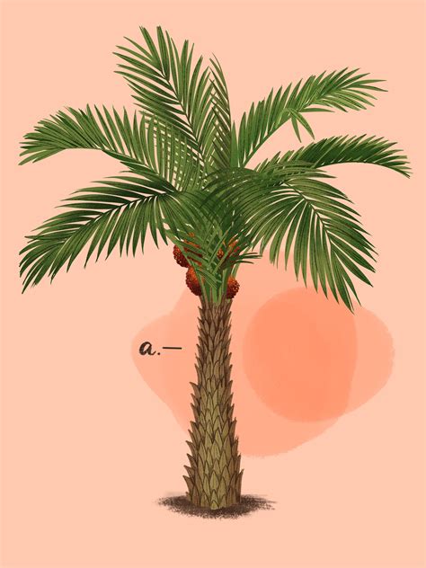 The anatomy of an oil palm | Focus on Arts and Ecology