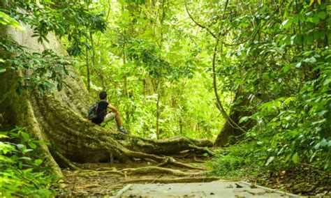 4 Fakta Unik Taman Nasional Bali Barat - Putri Bali Rental