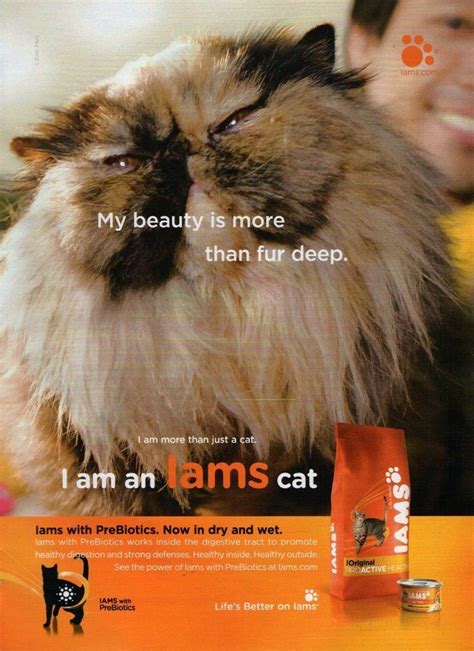 IAMS Cat Food Magazine Advertisement (2010)