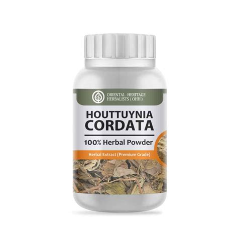 Houttuynia cordata Powder Extract 50 G. (Premium Grade)