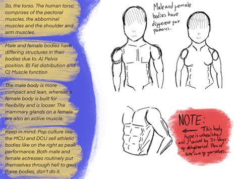 Tutorial #2: The Torso by iamtheladyoflight on DeviantArt