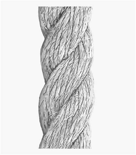 894 X 894 2 - Rope Drawing With Texture, HD Png Download , Transparent ...