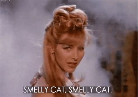 Smelly Cat! | Friends phoebe, Smelly cat, Phoebe buffay