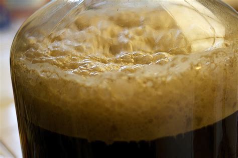 Yeast Fermentation Beer