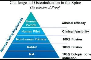 Burden Of Proof Quotes. QuotesGram