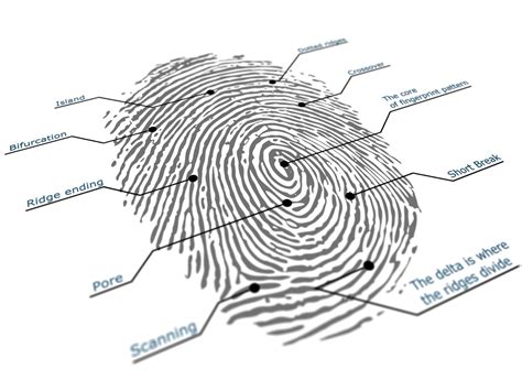 Live Scanning the News: New Low Cost 3D Contactless Fingerprinting System