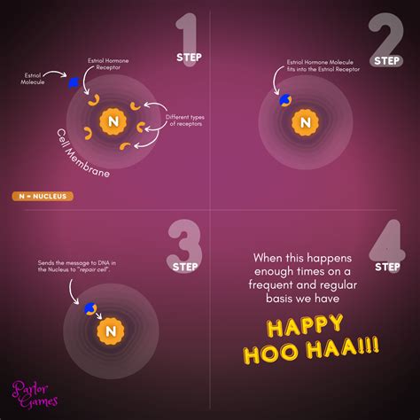 What is a hormone receptor and how does it work?