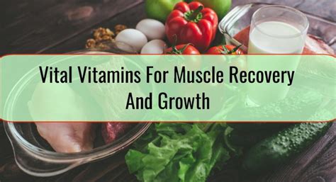 Vital Vitamins For Muscle Recovery And Growth • Health blog