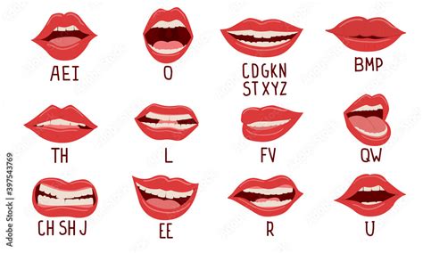 Mouth animation. Alphabet pronunciation, lip position while talking. Woman facial expression ...