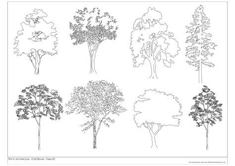 Free CAD Blocks - Trees 02