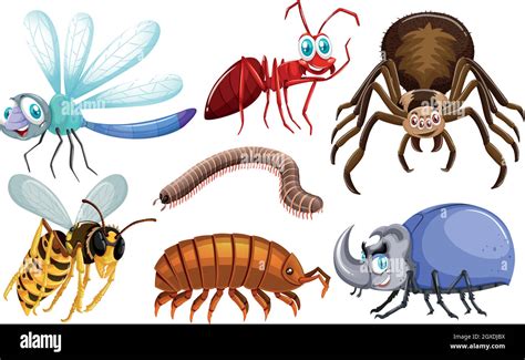 Set of different types of bugs Stock Vector Image & Art - Alamy