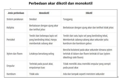 Tabel Perbedaan Akar Monokotil Dan Dikotil