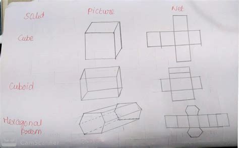 How To Draw The Net Of A Cuboid - Artistrestaurant2