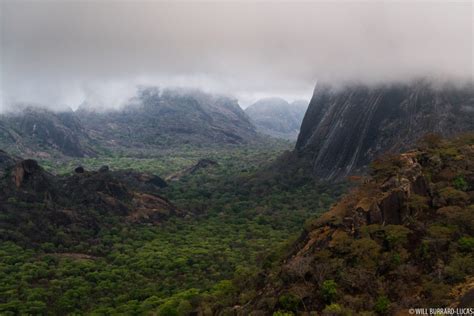 Niassa Reserve | Photos Pictures Images