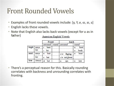 PPT - Language Typology PowerPoint Presentation, free download - ID:2222302