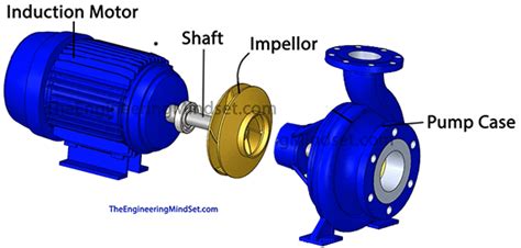 Centrifugal Pump Parts Labeled