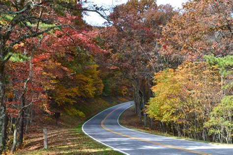 Nanda & Nathan The Travellers: Fall Foliage at Shenandoah National Park